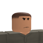 @strayoptics