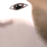 @fhurffhur