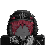 @roblox_user_208932195