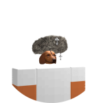 Ray