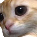 @yusufemirredyus