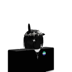 @roblox_user_4194736690