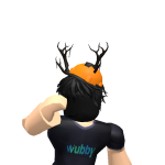 @GamingYourRobloxian