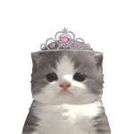 @Mochidochiii