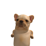 @llxozoey
