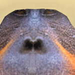 @Mr_Av0cad0mans