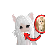 @rayanhxhdhdhd