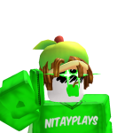 @nitayoren2013
