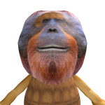 @roblox_user_1261374881