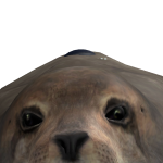 @Secti0ned