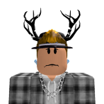 @ronaldwds