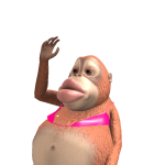 @bryce67853
