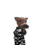 @roaches_oop