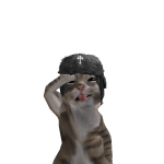 @francito4312