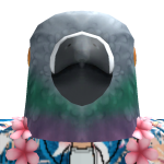 @ImputumFulmenus