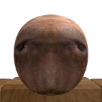 @dupaki123