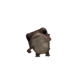 qiw