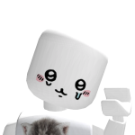 @Laurathecatqwq