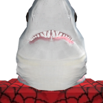 @xninjadudexpigen
