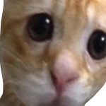 @tobiobb_kun
