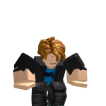@MattLikesRoblox1313
