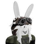 @iHAteROBloXIAM_MAD
