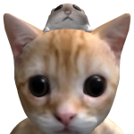 @Ftsn6ym