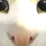 @mgjggjjrjrjjhfjh