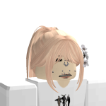 @Localrobloxplayer4