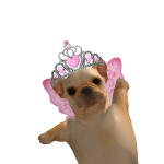 @LUPEV1BES