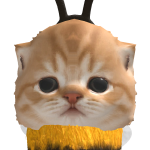 @N8throw