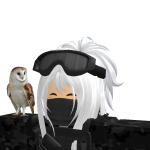 @NeolitzRBLX