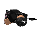 @DragBruhDogOrCat