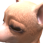 @Not_jakeduh