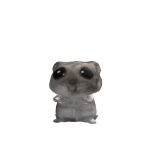 @ZANSKYZOHUH