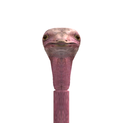 Roblox profile picture for @Ostrich