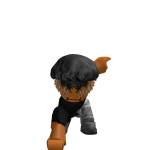 @Nightininja123