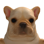 @Nacho_kido