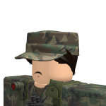 @Lieutenant_Fin