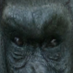 @theyfwautumnn