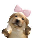 @iibxtterflxes11