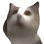 @fifhipsis