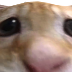 @RustyNotCrusty