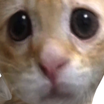 @CH4RSV0GUE