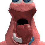 @ahmedoraleeeeee