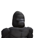 @Novalflash