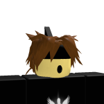 @Carftedblox10