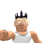 @roblox_user_4427838050