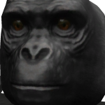 @gordesg