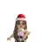 2038108070